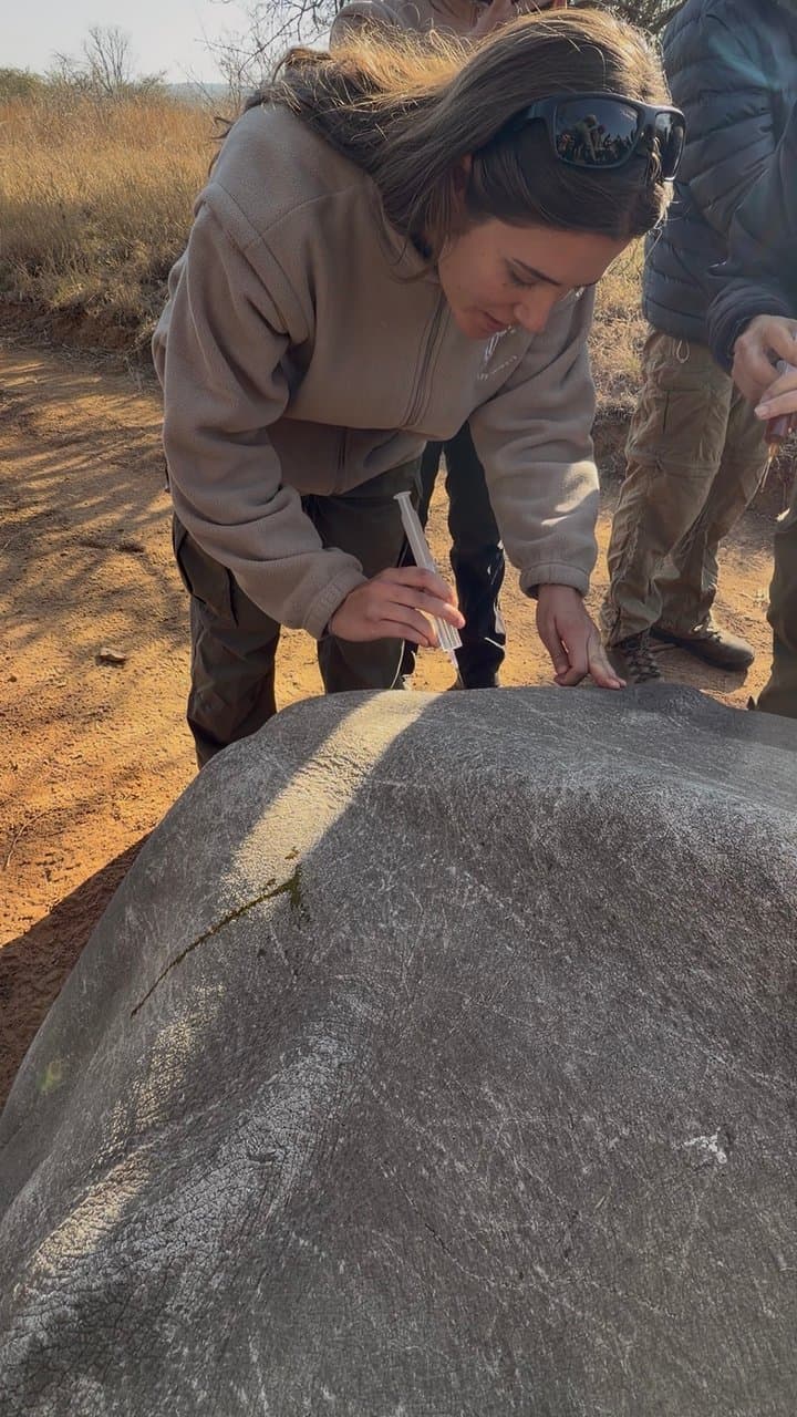 A Day of Rhino Horn Trimming