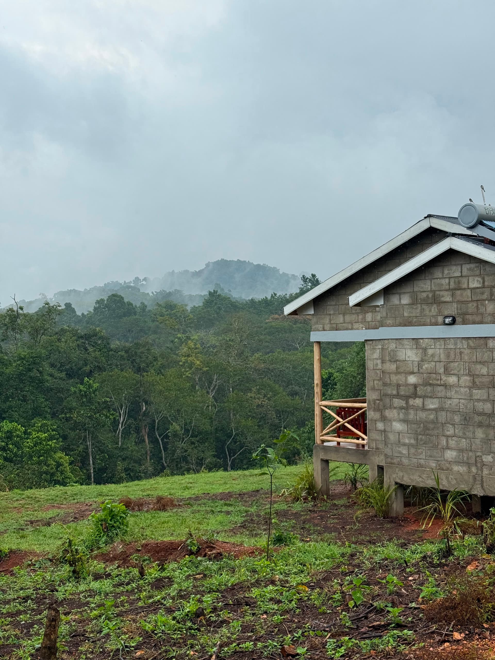 The lodge looking out over the Kibale rainforest