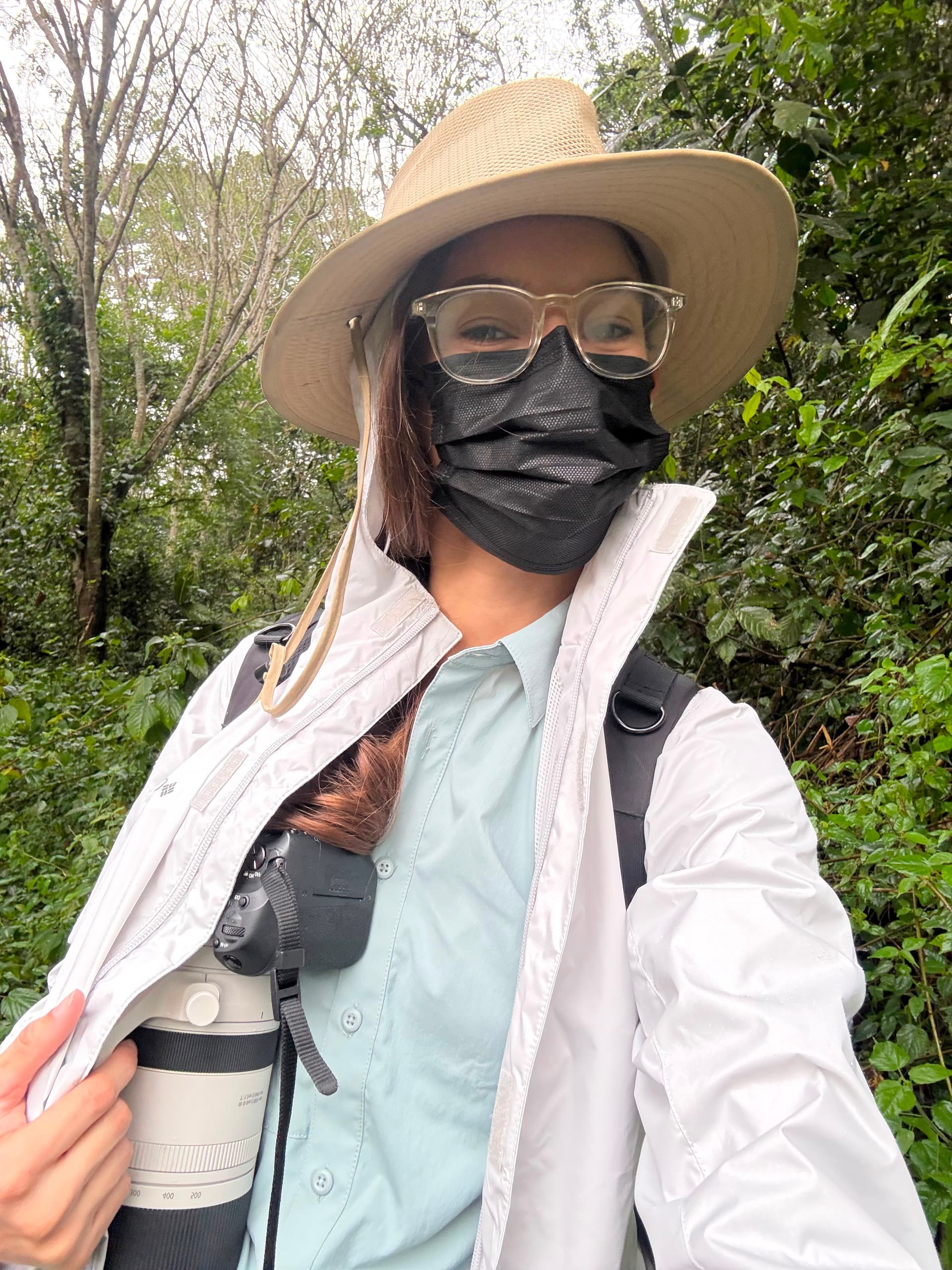 Putting on a face mask before approaching the chimpanzees