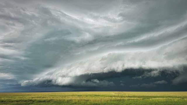 A deep grey storm front rolling across grasslands in the Maasai Mara