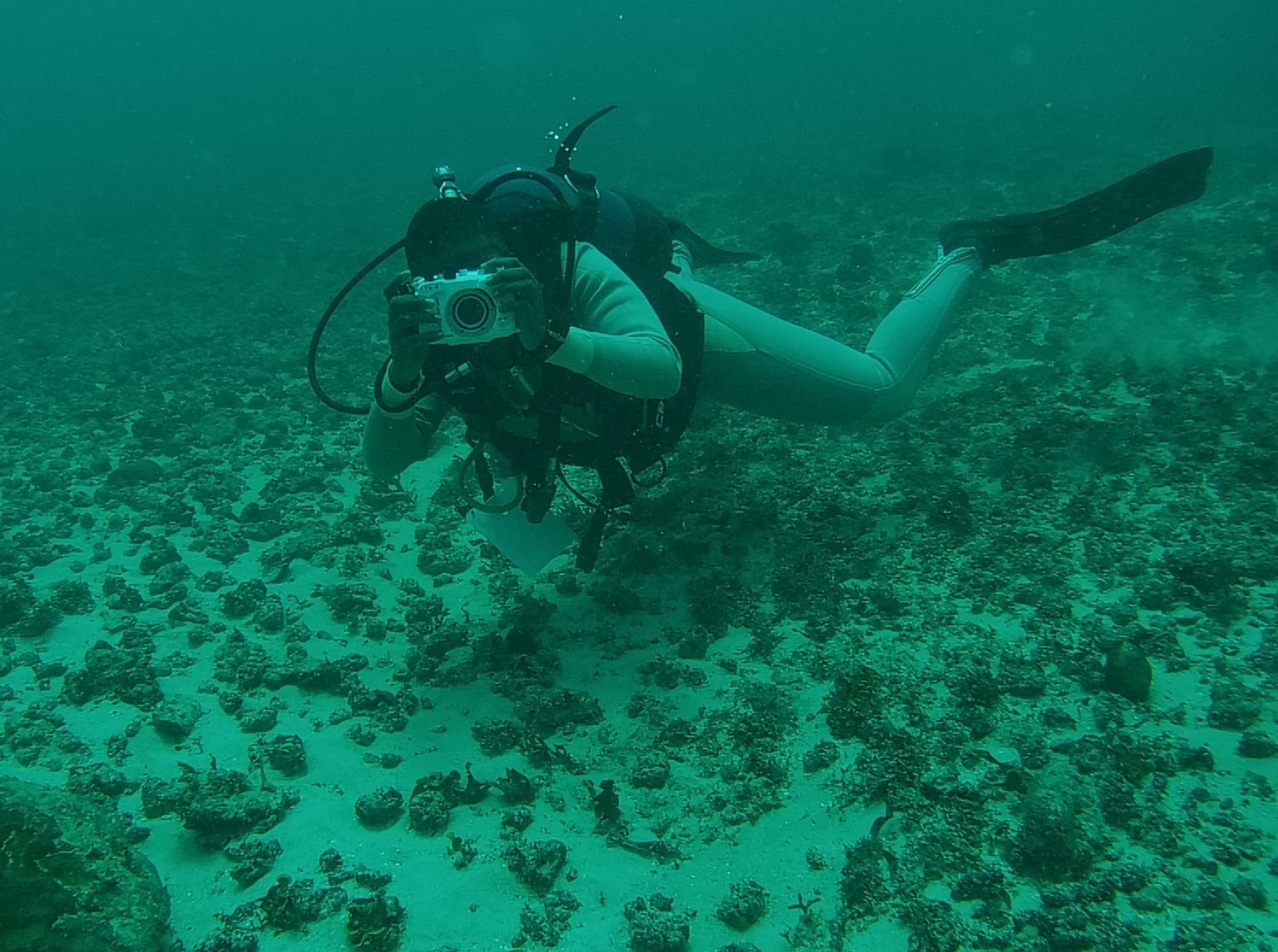An ORP Kenya diver uses a camera to capture a turtle’s unique facial scute pattern from a respectful distance for photo identification and the Internet of Sea Turtles database. [Courtesy: ORP Kenya]