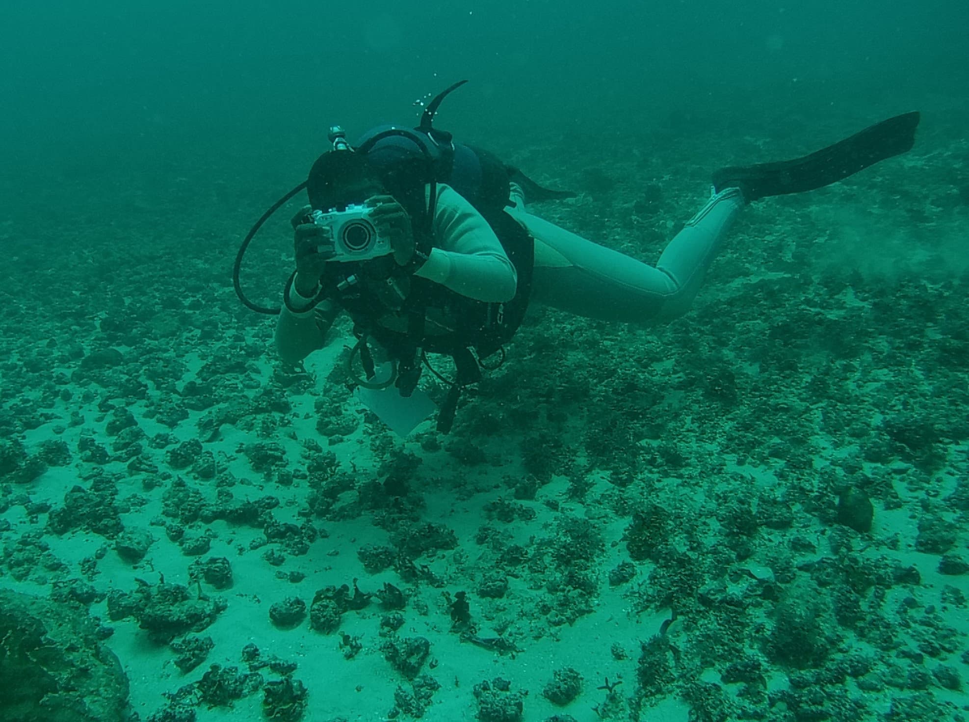 An ORP Kenya diver uses a camera to capture a turtle’s unique facial scute pattern from a respectful distance for photo identification and the Internet of Sea Turtles database. [Courtesy: ORP Kenya]