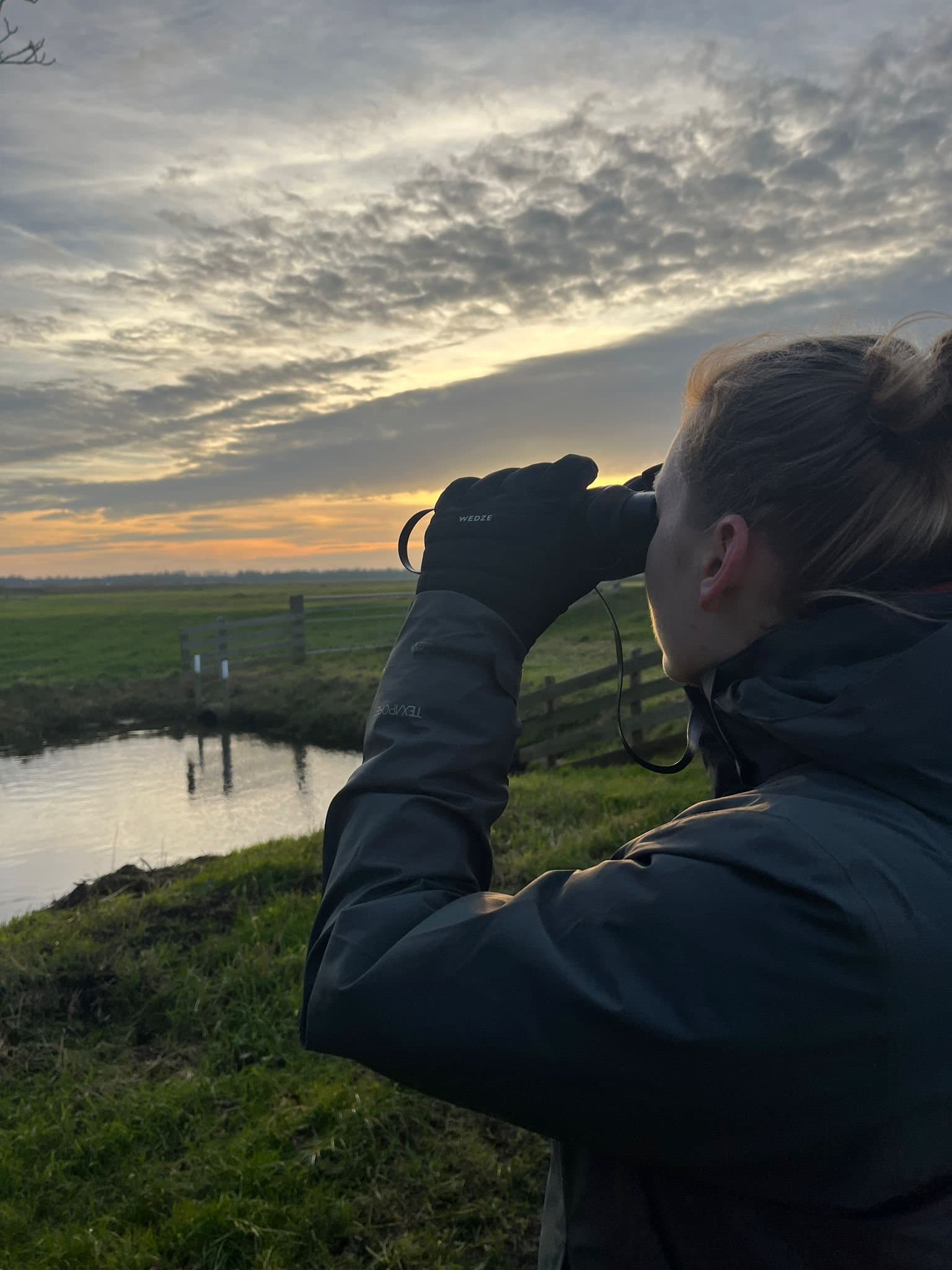 The Art of Noticing: A Cornerstone of Wildlife Filmmaking