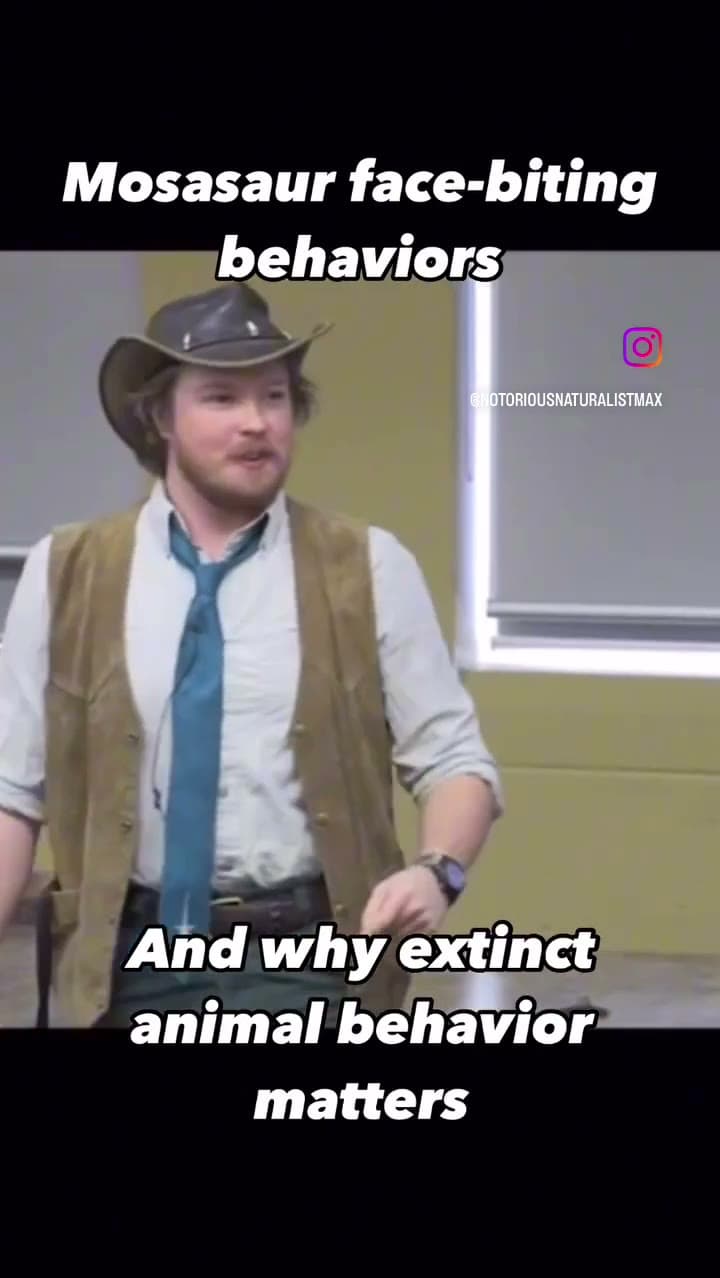 Max, in a ranger hat and vest, presenting on mosasaur behavior, with the on-screen title “Mosasaur face-biting behaviors, and why extinct animal behavior matters”