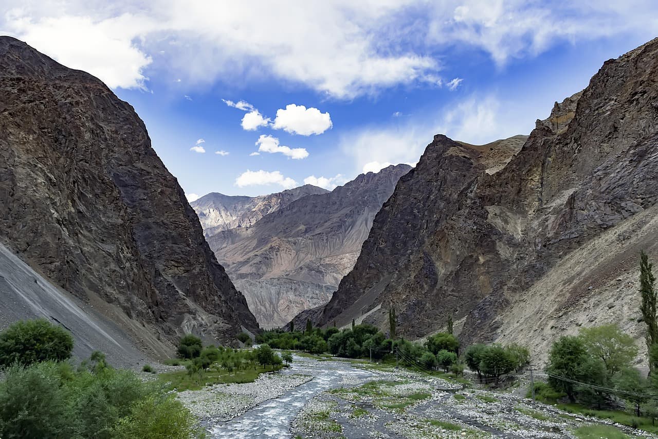 Pakistan creates new sanctuary for endangered Indus River dolphins