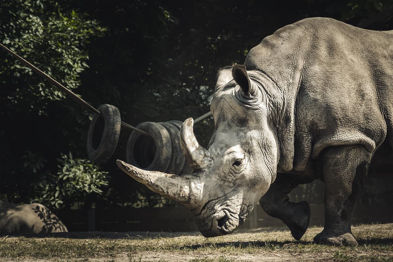 US accepts millions of conservation acres to restore private-land wildlife habitat
