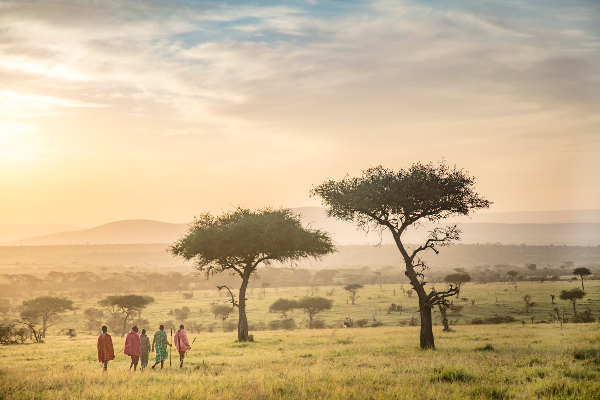 Learning to See Connection: What Long-Term Photography Reveals About Conservation