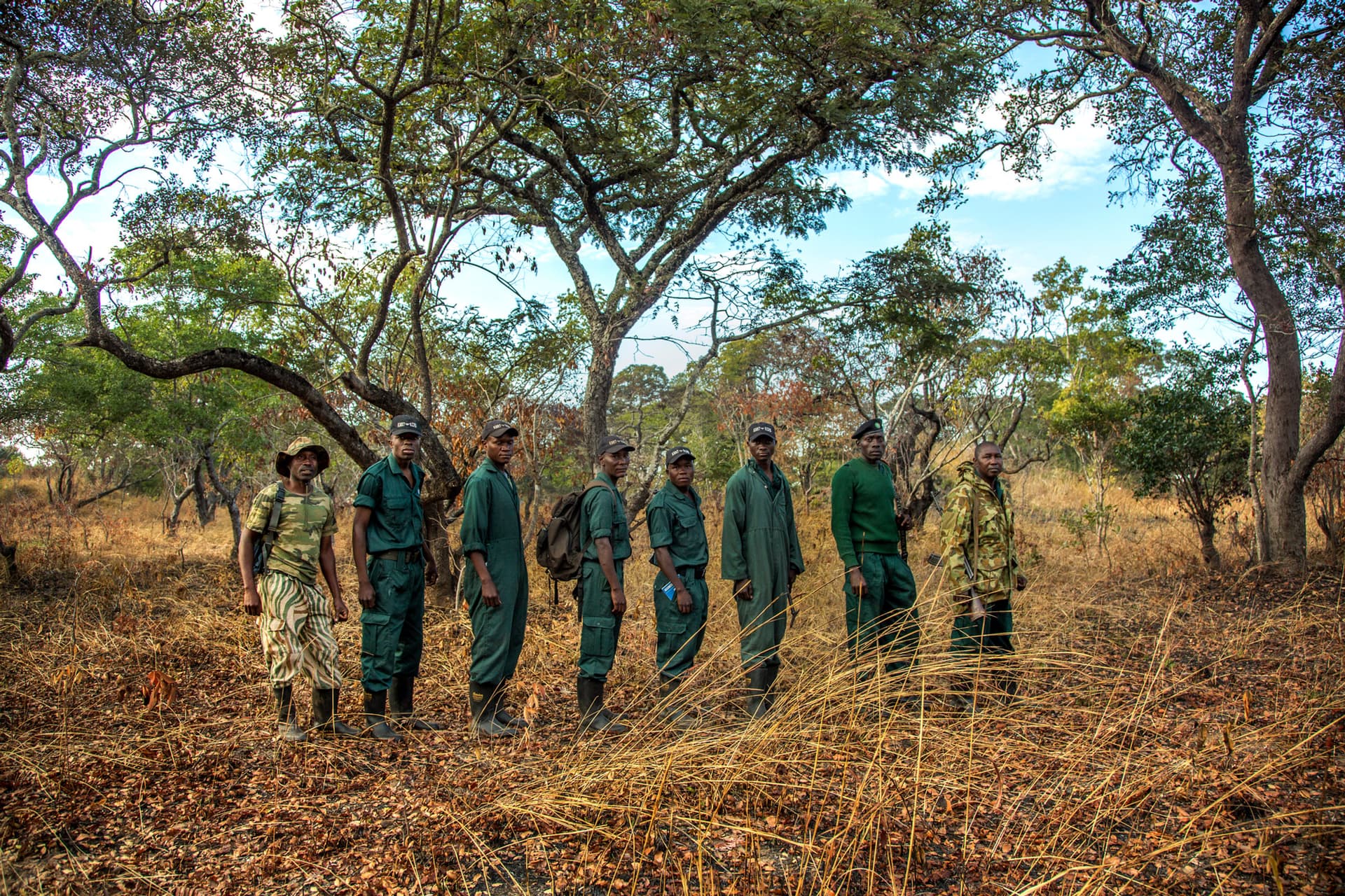 Community scouts patrol woodland in Kaindu, on the edge of Kafue, part of a growing network of locally led conservation initiatives that protect wildlife while working closely with the communities who live alongside these landscapes. Photo © Georgina Goodwin