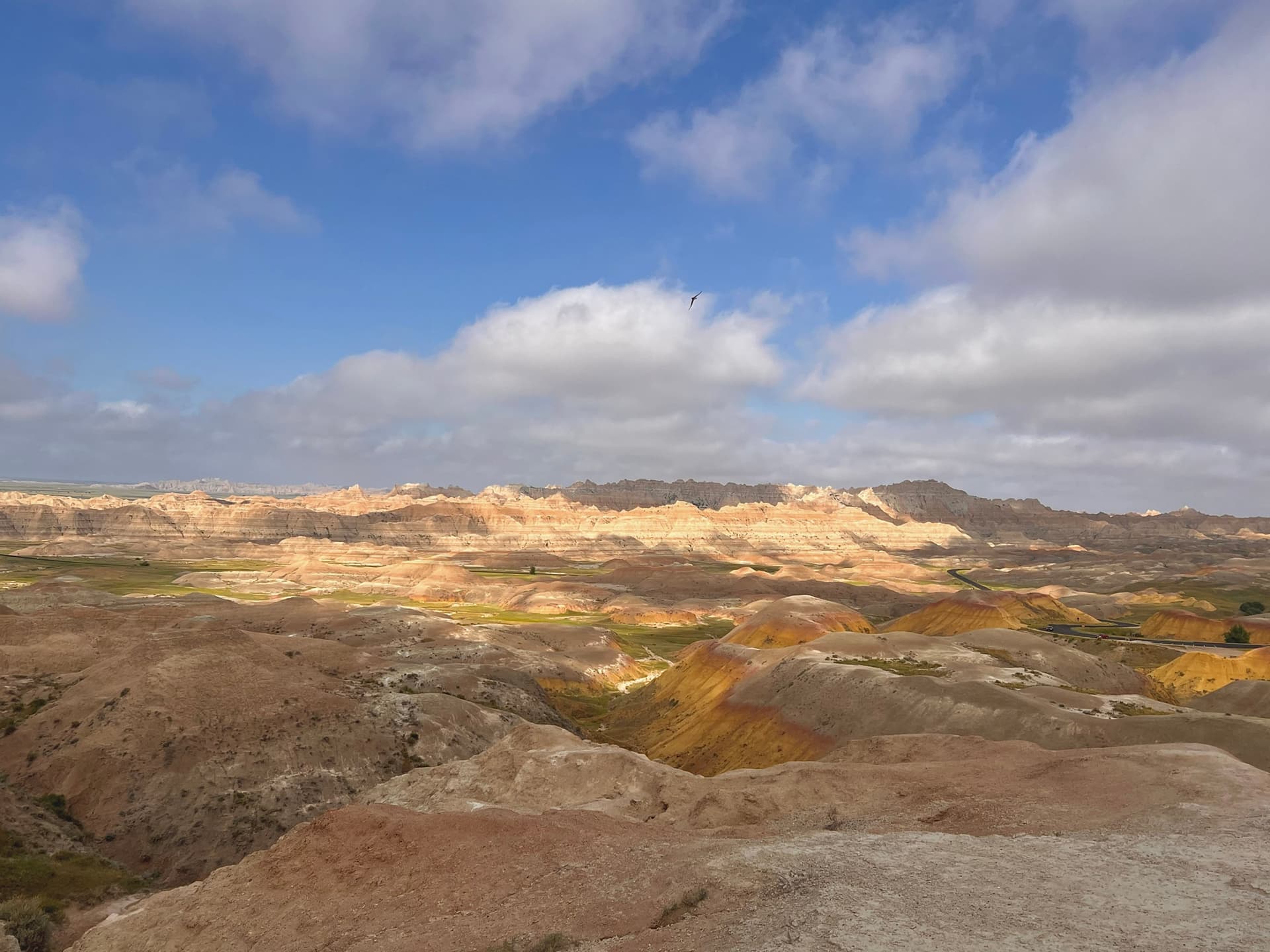 Lessons from the Past: The Role of the Fossil Record in Protecting the Future