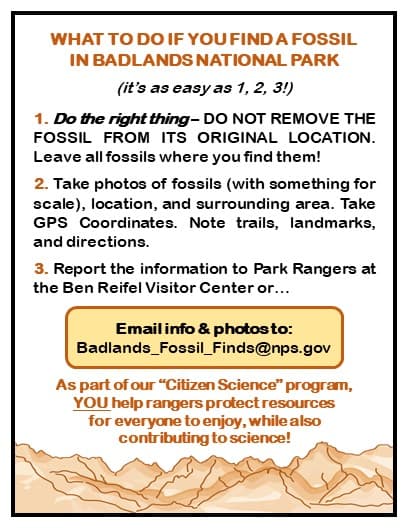 How to report fossil finds and Badlands National Park (or really any public land in the US!)